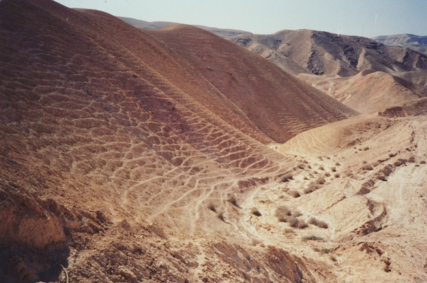 Target: the Aravah Desert.